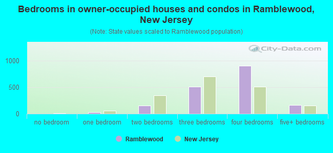 Bedrooms in owner-occupied houses and condos in Ramblewood, New Jersey