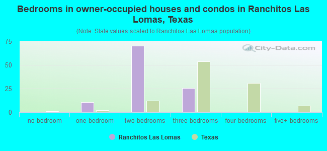 Bedrooms in owner-occupied houses and condos in Ranchitos Las Lomas, Texas