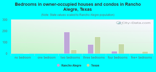 Bedrooms in owner-occupied houses and condos in Rancho Alegre, Texas