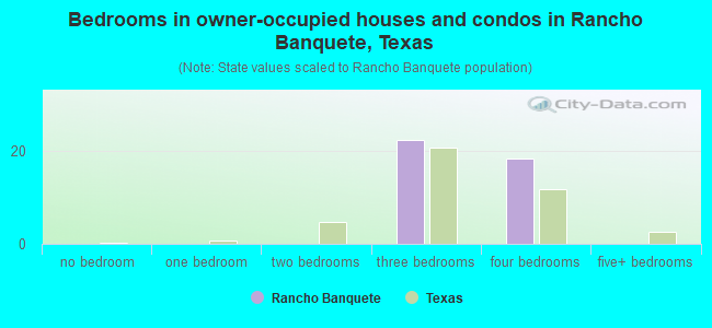 Bedrooms in owner-occupied houses and condos in Rancho Banquete, Texas