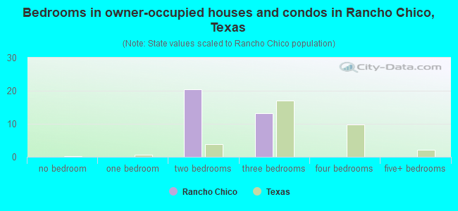 Bedrooms in owner-occupied houses and condos in Rancho Chico, Texas