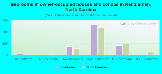 Bedrooms in owner-occupied houses and condos in Randleman, North Carolina