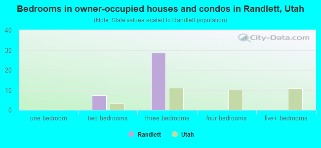 Bedrooms in owner-occupied houses and condos in Randlett, Utah