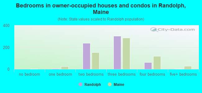 Bedrooms in owner-occupied houses and condos in Randolph, Maine