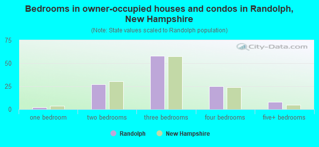 Bedrooms in owner-occupied houses and condos in Randolph, New Hampshire