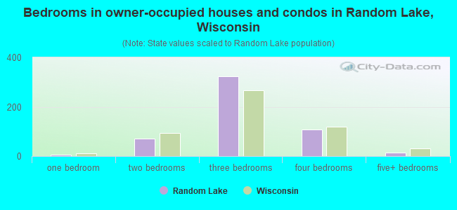 Bedrooms in owner-occupied houses and condos in Random Lake, Wisconsin