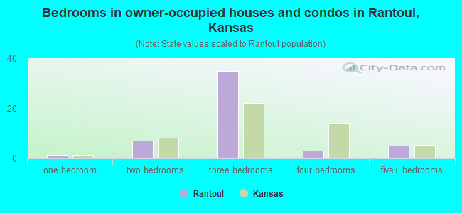 Bedrooms in owner-occupied houses and condos in Rantoul, Kansas