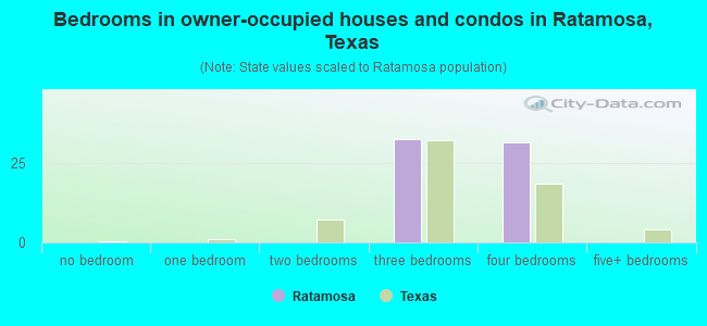Bedrooms in owner-occupied houses and condos in Ratamosa, Texas