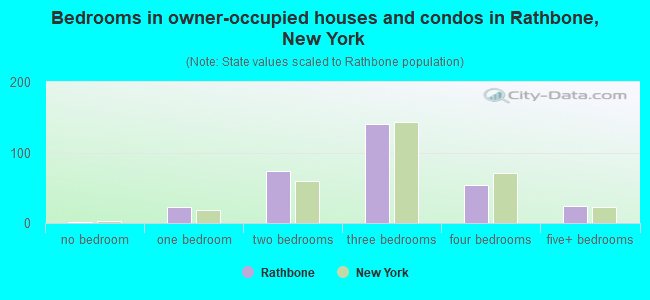 Bedrooms in owner-occupied houses and condos in Rathbone, New York