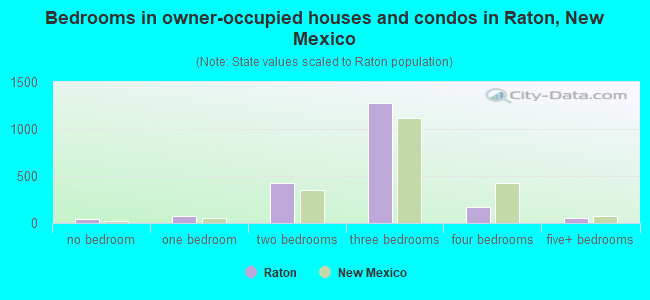 Bedrooms in owner-occupied houses and condos in Raton, New Mexico