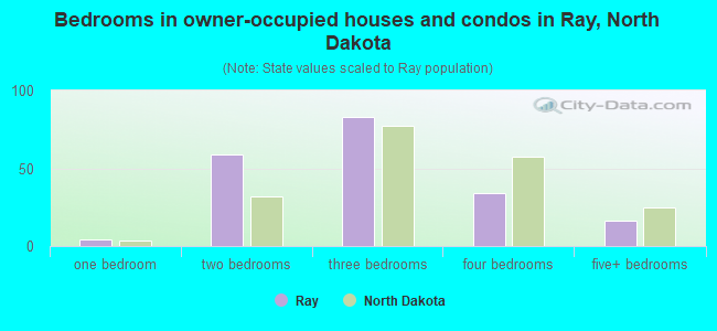 Bedrooms in owner-occupied houses and condos in Ray, North Dakota