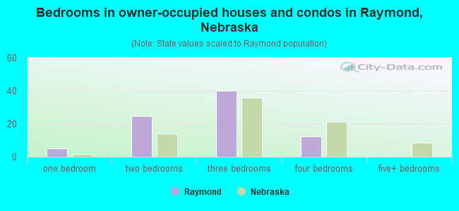 Bedrooms in owner-occupied houses and condos in Raymond, Nebraska