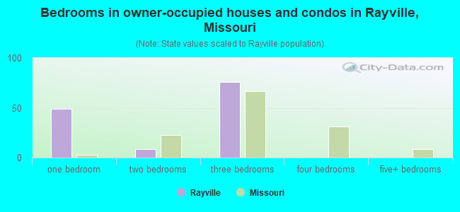 Bedrooms in owner-occupied houses and condos in Rayville, Missouri