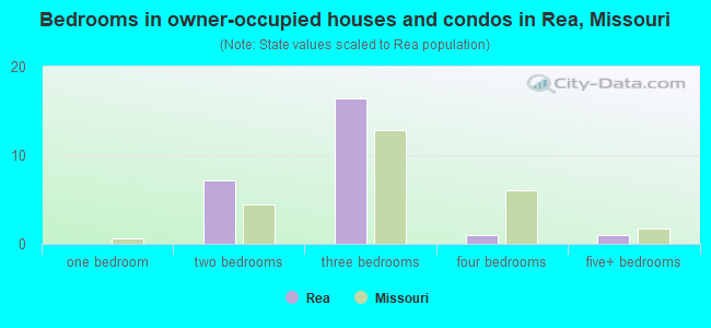Bedrooms in owner-occupied houses and condos in Rea, Missouri