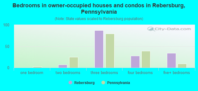 Bedrooms in owner-occupied houses and condos in Rebersburg, Pennsylvania