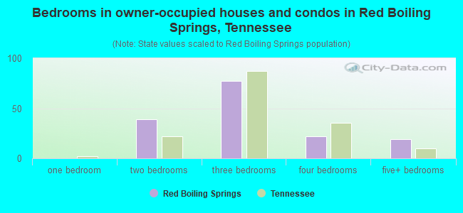 Bedrooms in owner-occupied houses and condos in Red Boiling Springs, Tennessee