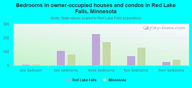 Bedrooms in owner-occupied houses and condos in Red Lake Falls, Minnesota