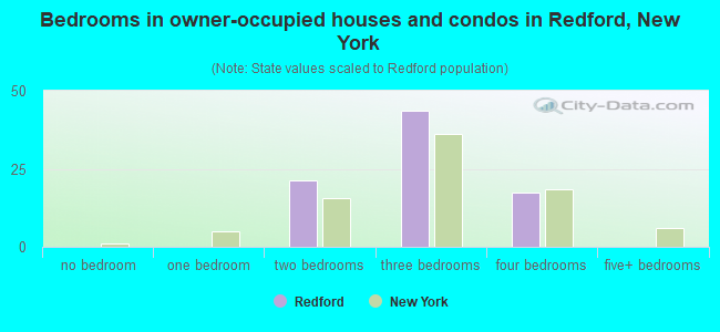 Bedrooms in owner-occupied houses and condos in Redford, New York