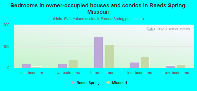 Bedrooms in owner-occupied houses and condos in Reeds Spring, Missouri