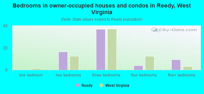 Bedrooms in owner-occupied houses and condos in Reedy, West Virginia