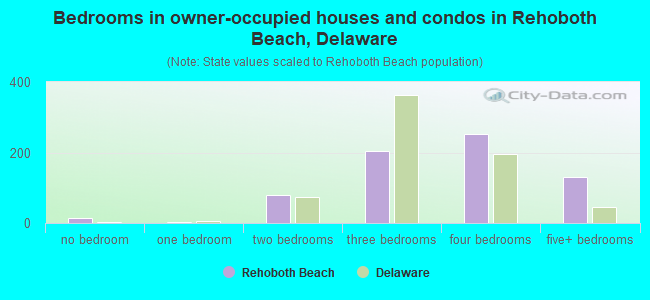 Bedrooms in owner-occupied houses and condos in Rehoboth Beach, Delaware