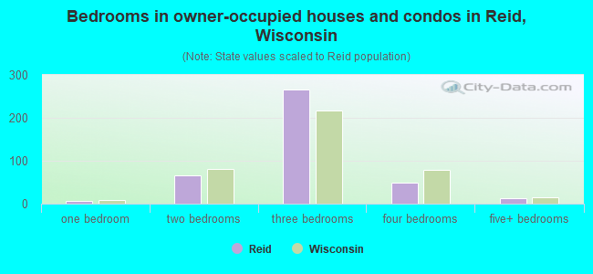 Bedrooms in owner-occupied houses and condos in Reid, Wisconsin