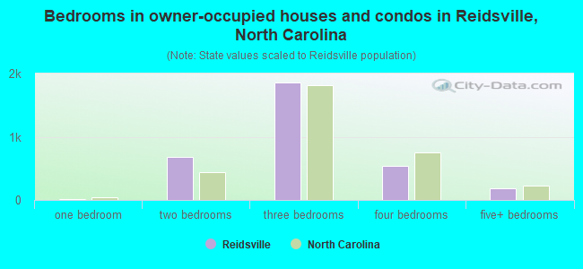 Bedrooms in owner-occupied houses and condos in Reidsville, North Carolina