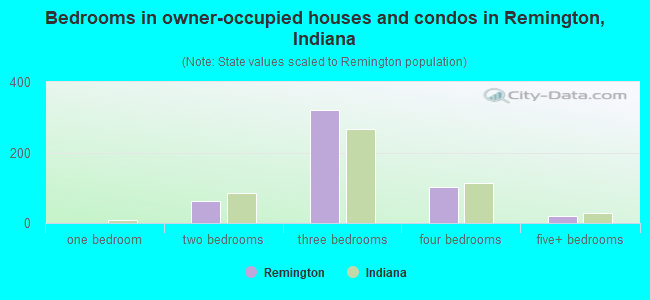 Bedrooms in owner-occupied houses and condos in Remington, Indiana