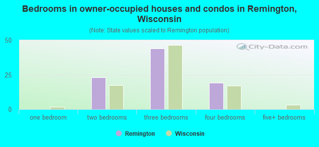 Bedrooms in owner-occupied houses and condos in Remington, Wisconsin
