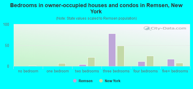 Bedrooms in owner-occupied houses and condos in Remsen, New York