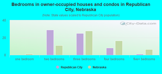 Bedrooms in owner-occupied houses and condos in Republican City, Nebraska