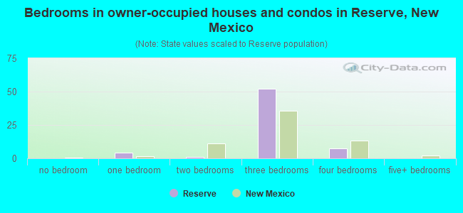 Bedrooms in owner-occupied houses and condos in Reserve, New Mexico