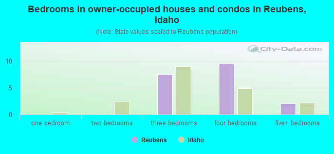 Bedrooms in owner-occupied houses and condos in Reubens, Idaho
