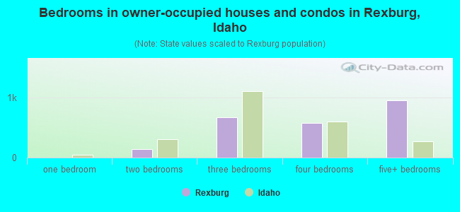 Bedrooms in owner-occupied houses and condos in Rexburg, Idaho