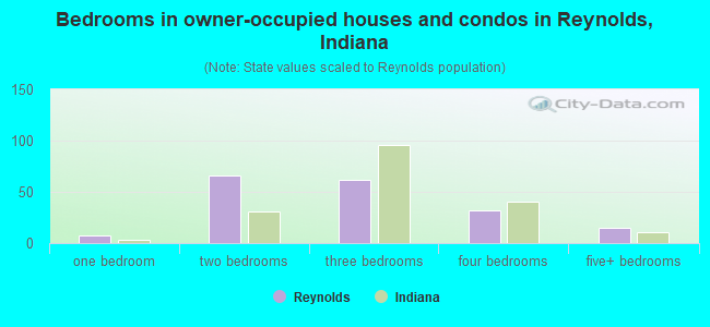 Bedrooms in owner-occupied houses and condos in Reynolds, Indiana