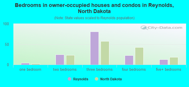 Bedrooms in owner-occupied houses and condos in Reynolds, North Dakota