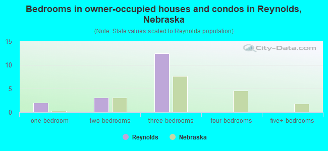 Bedrooms in owner-occupied houses and condos in Reynolds, Nebraska