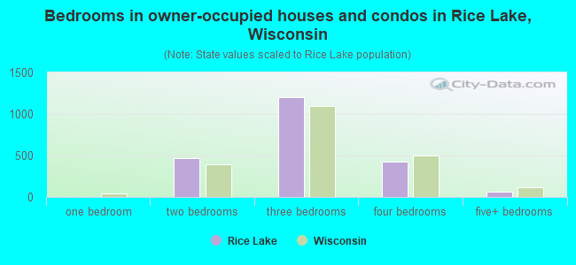 Bedrooms in owner-occupied houses and condos in Rice Lake, Wisconsin