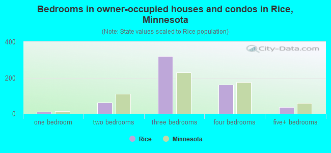 Bedrooms in owner-occupied houses and condos in Rice, Minnesota