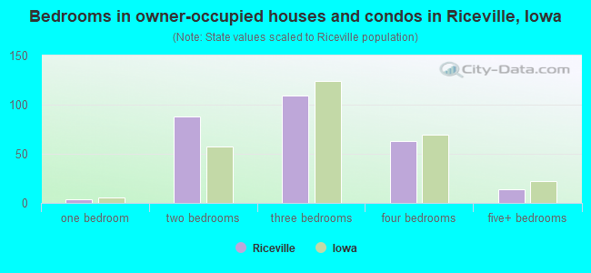 Bedrooms in owner-occupied houses and condos in Riceville, Iowa