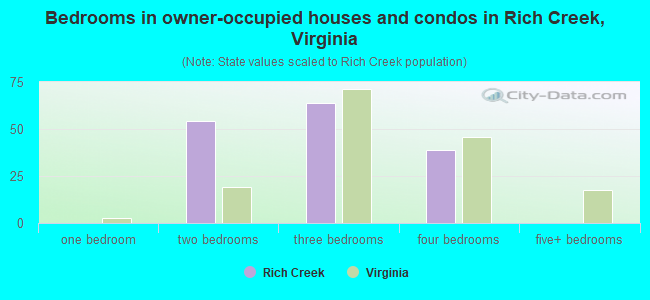 Bedrooms in owner-occupied houses and condos in Rich Creek, Virginia