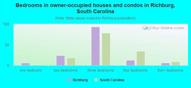Bedrooms in owner-occupied houses and condos in Richburg, South Carolina