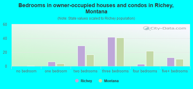 Bedrooms in owner-occupied houses and condos in Richey, Montana