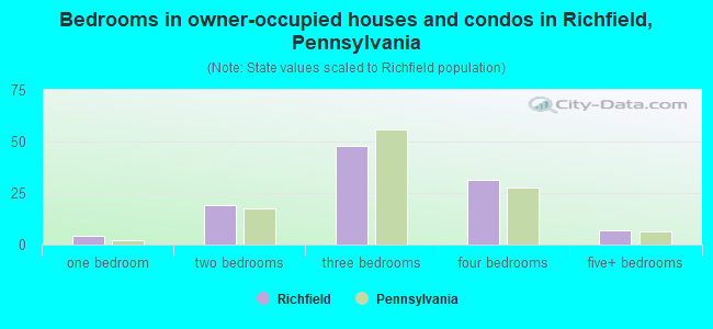 Bedrooms in owner-occupied houses and condos in Richfield, Pennsylvania