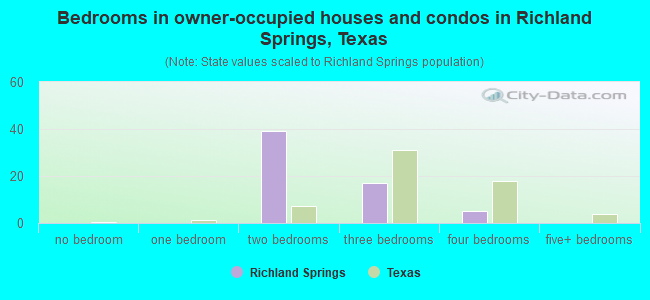 Bedrooms in owner-occupied houses and condos in Richland Springs, Texas