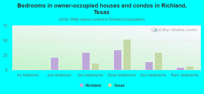 Bedrooms in owner-occupied houses and condos in Richland, Texas