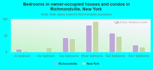 Bedrooms in owner-occupied houses and condos in Richmondville, New York