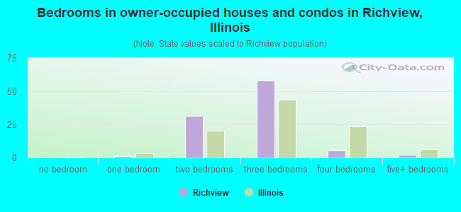 Bedrooms in owner-occupied houses and condos in Richview, Illinois