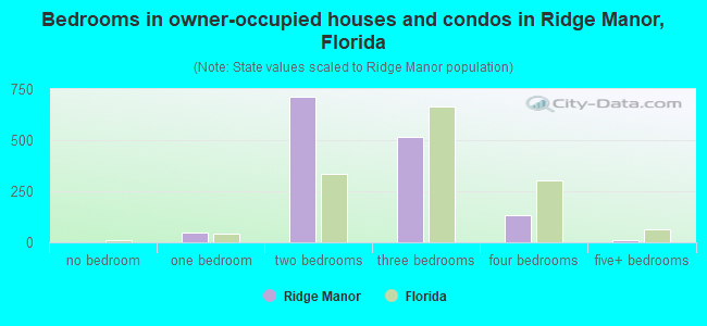 Bedrooms in owner-occupied houses and condos in Ridge Manor, Florida