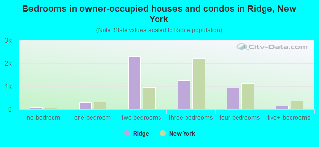 Bedrooms in owner-occupied houses and condos in Ridge, New York